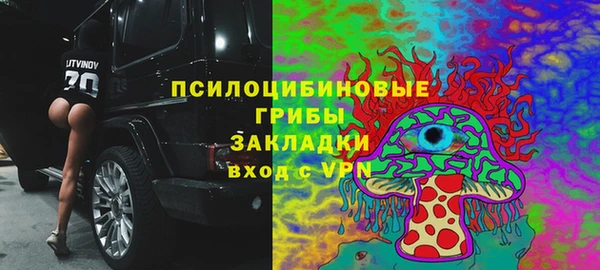 соль ск Вязьма