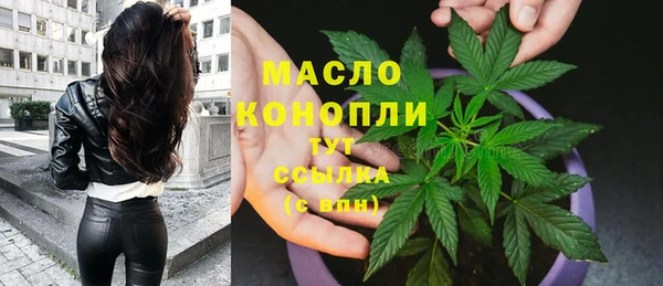 тгк Горно-Алтайск