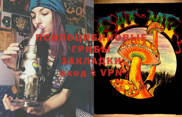 тгк Горно-Алтайск